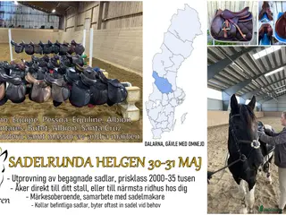 Sadlar hästutrustning Sadelutprovning Dalarna 30-31/5 - Annons 1
