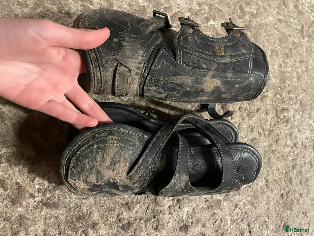 Benskydd hästutrustning till salu: Benskydd - Annons 2