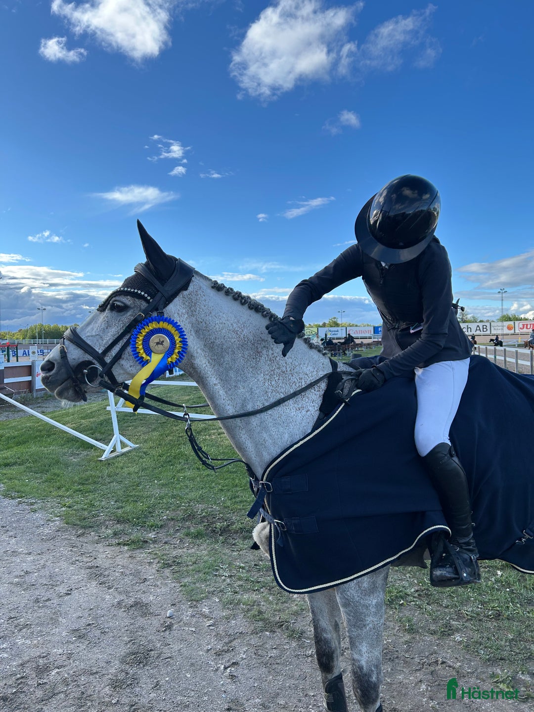 Hoppning hästar till salu: En ponny för dem stora klasserna! i Knivsta - Annons 2