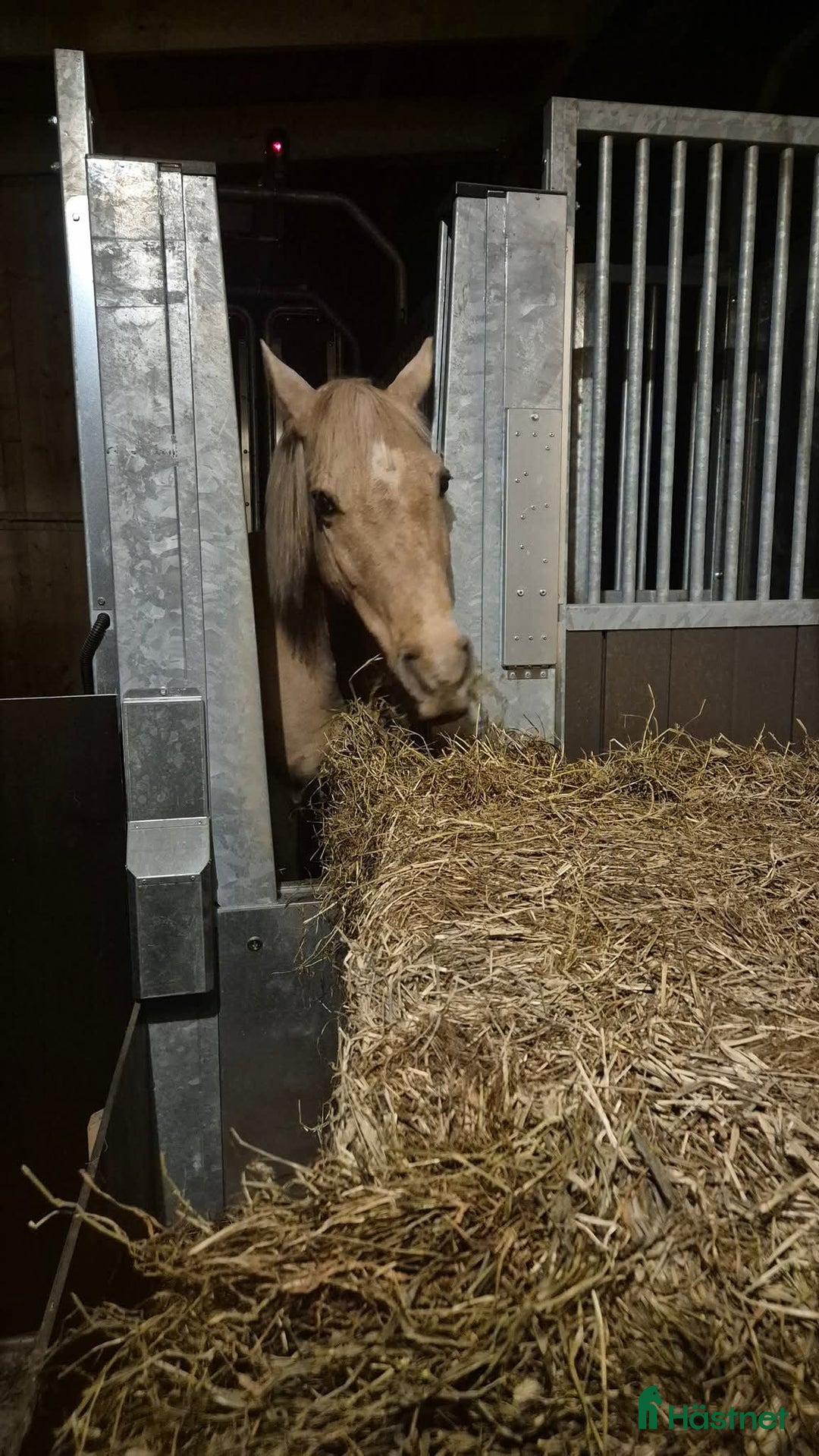  stallplats finnes: Active stable Haninge södra Stockholm  i Österhaninge - Annons 7