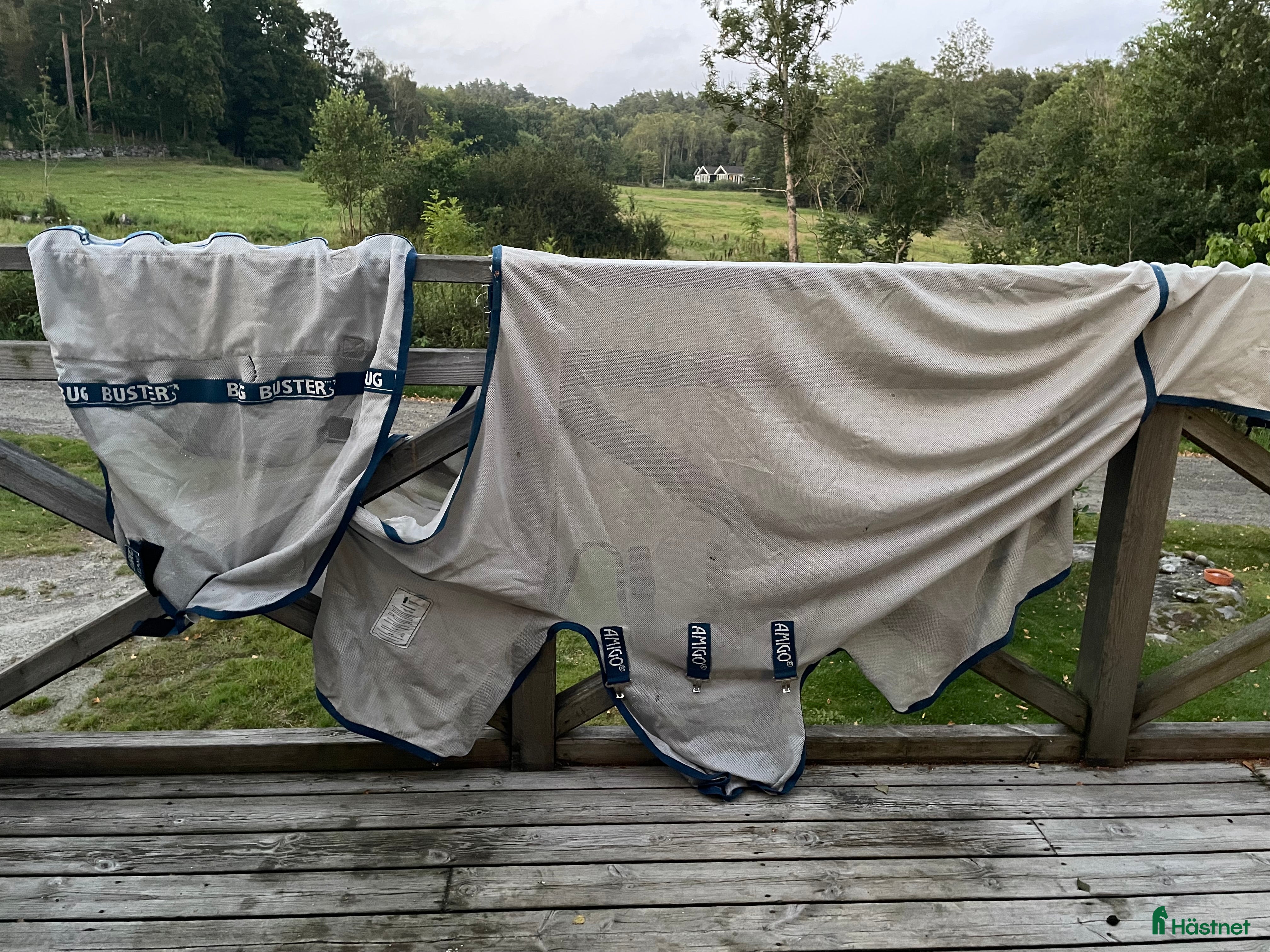 Täcken hästutrustning till salu: Amigo flugtäcke  i Lindome - Annons 2