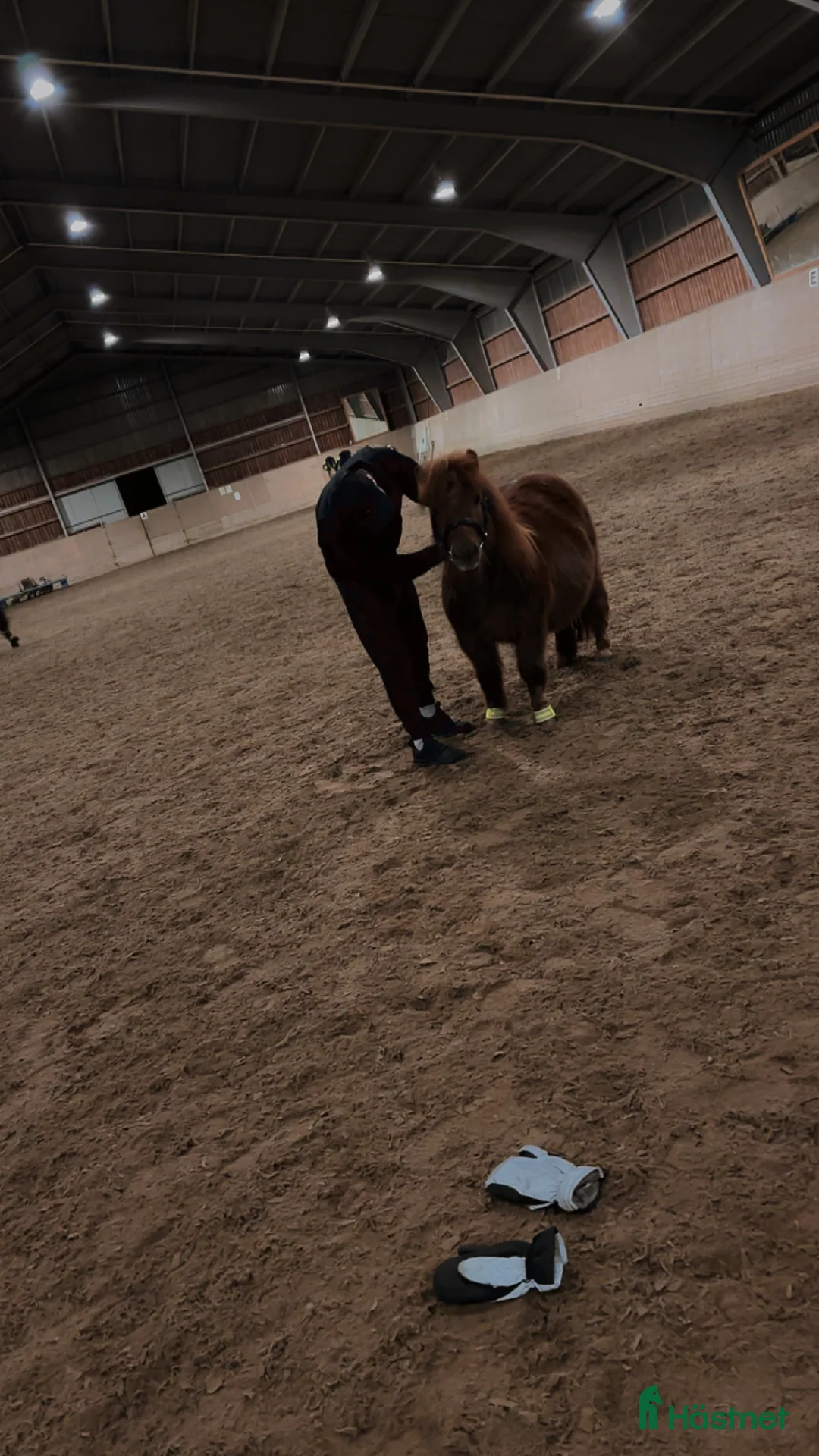 Allround hästar till salu: Byte av ponny  i Forshaga - Annons 1