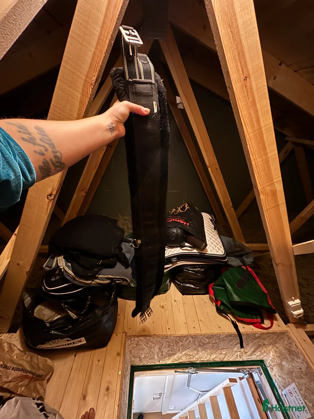 Sadeltillbehör hästutrustning till salu: Sadelgjordar  - Annons 5