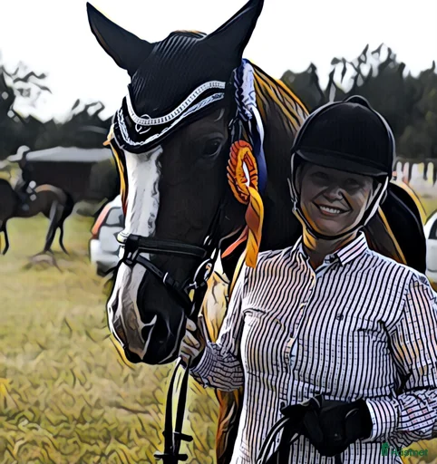 Galleribild {{count}}