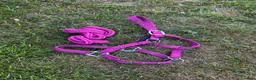 Övrig Hästutrustning hästutrustning till salu: Rosa grimma!! - Annons 1