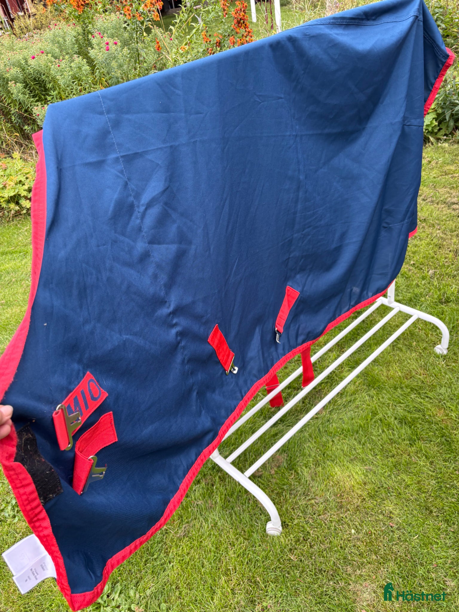 Täcken hästutrustning Mio sommartäcke - Annons 20