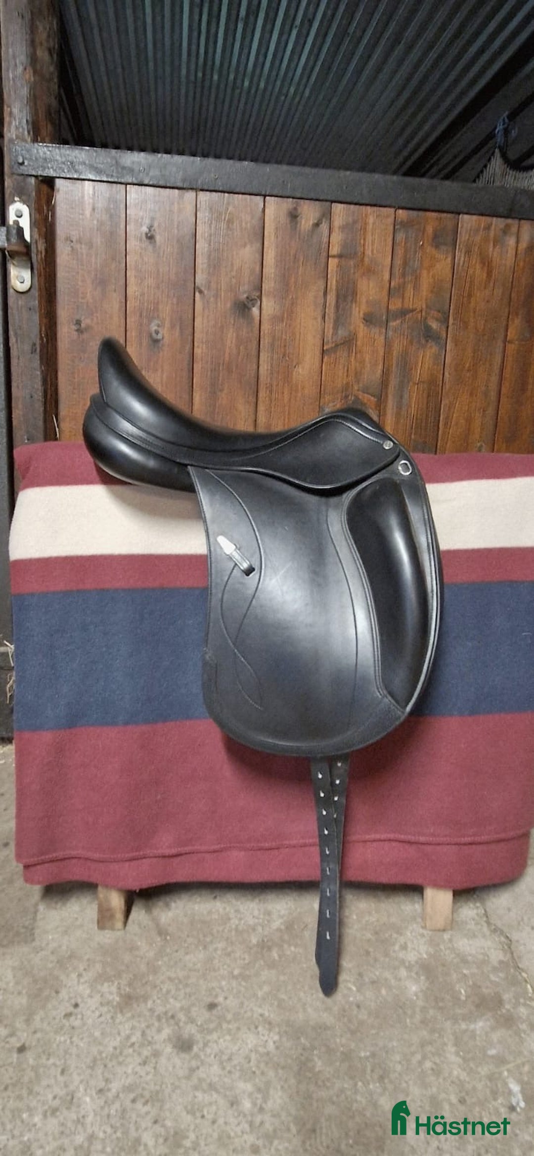 Sadlar hästutrustning till salu: Equipe Olympia, sadelgjord & stigläder i Hjärnarp - Annons 2
