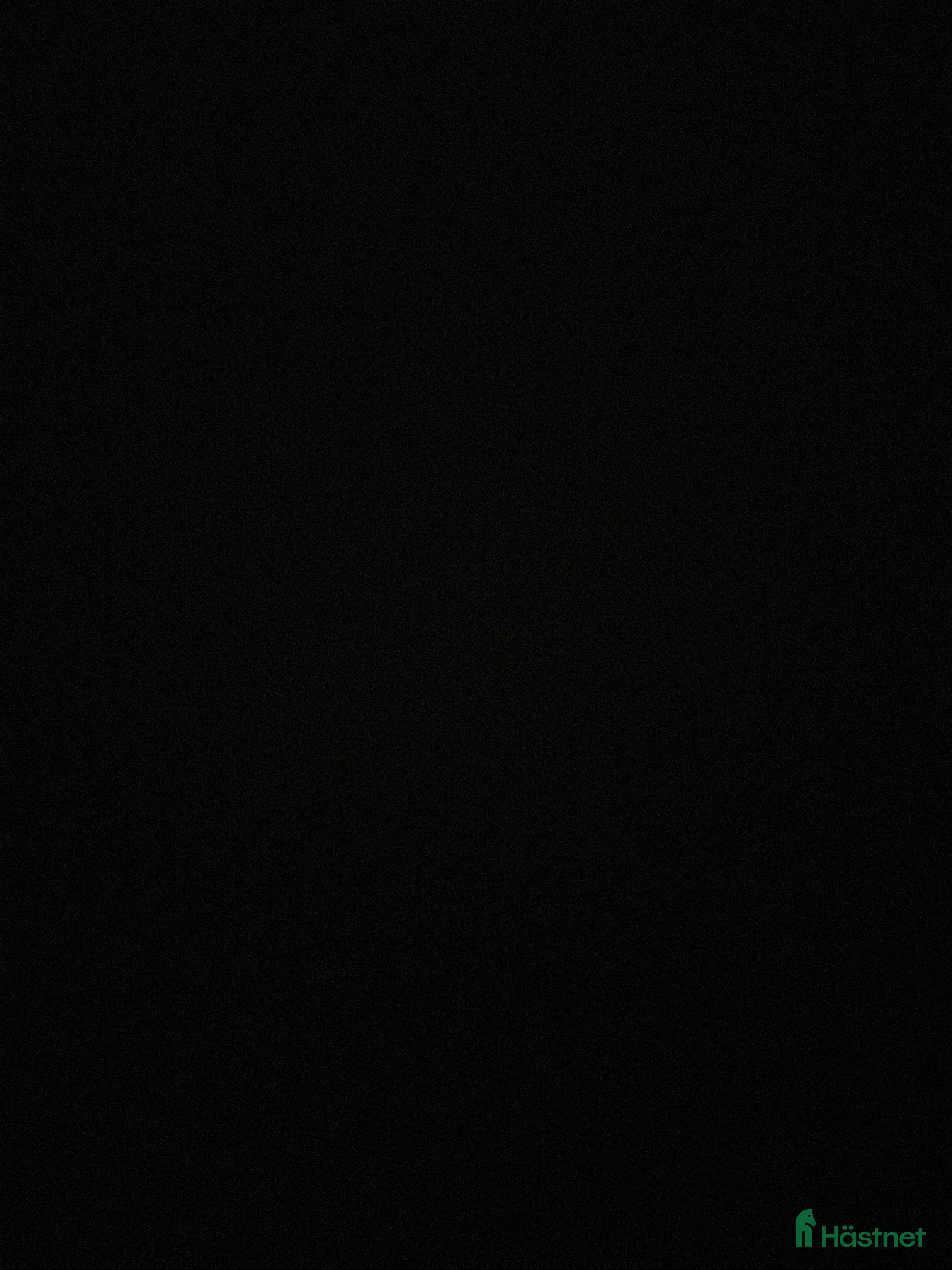  hästar Projekt för den som har tid! i Malmö - Annons 4