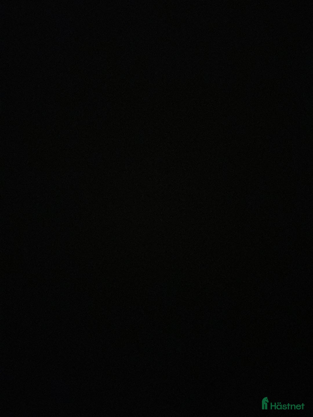 Hoppning hästar till salu: Projekt för den som har tid! i Malmö - Annons 1