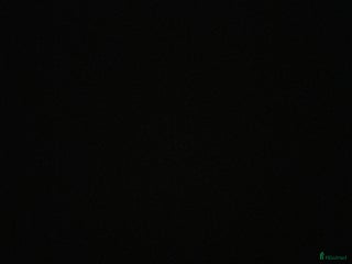 hästar Projekt för den som har tid! i Malmö - Annons 6