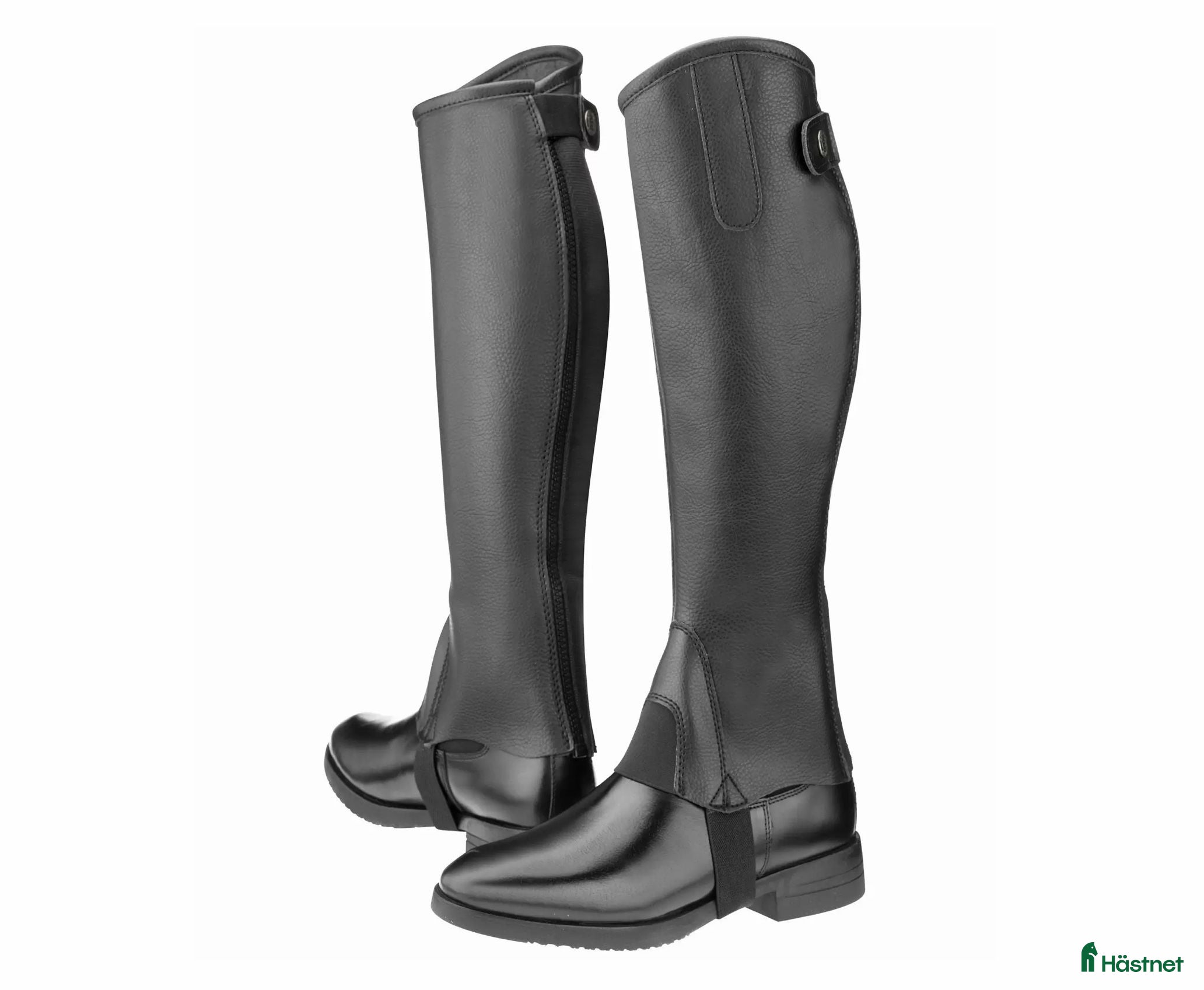 Övrig Ryttarutrustning ryttarutrustning till salu: NYA Chaps STEEDS Beauty, S i Västra Frölunda - Annons 4