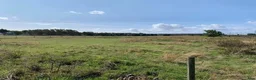  stallplats finnes: Stallplatser uthyres vid Löddeköpinge Sandskog - Annons 3