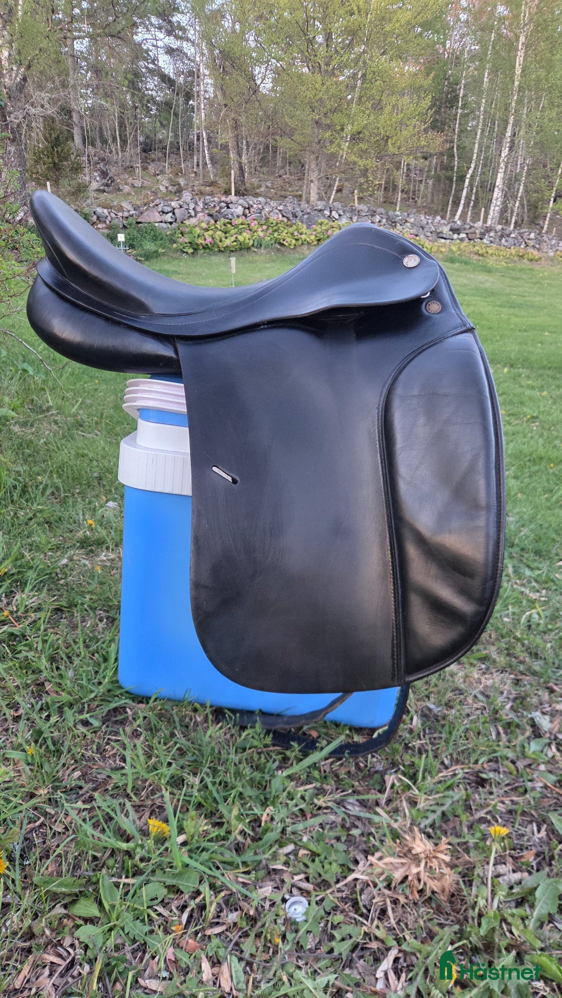 Sadlar hästutrustning Prestige Hippos Dressage 17"/34" - Annons 9