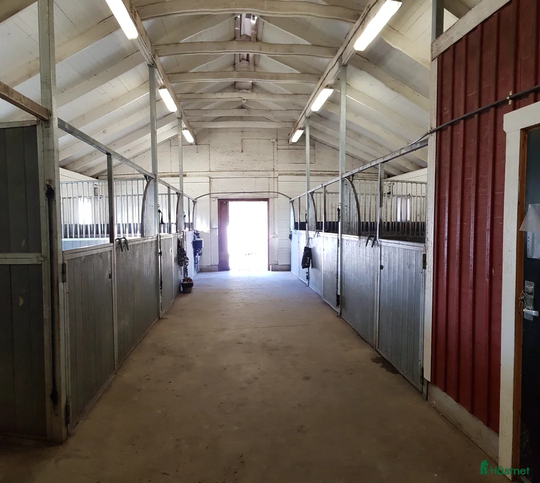  stallplats finnes: Ledig stallplats/boxplats i Tullinge  - Annons 7