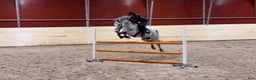  stallplats finnes: En ledig boxplats i litet stall i Brottby - Annons 4