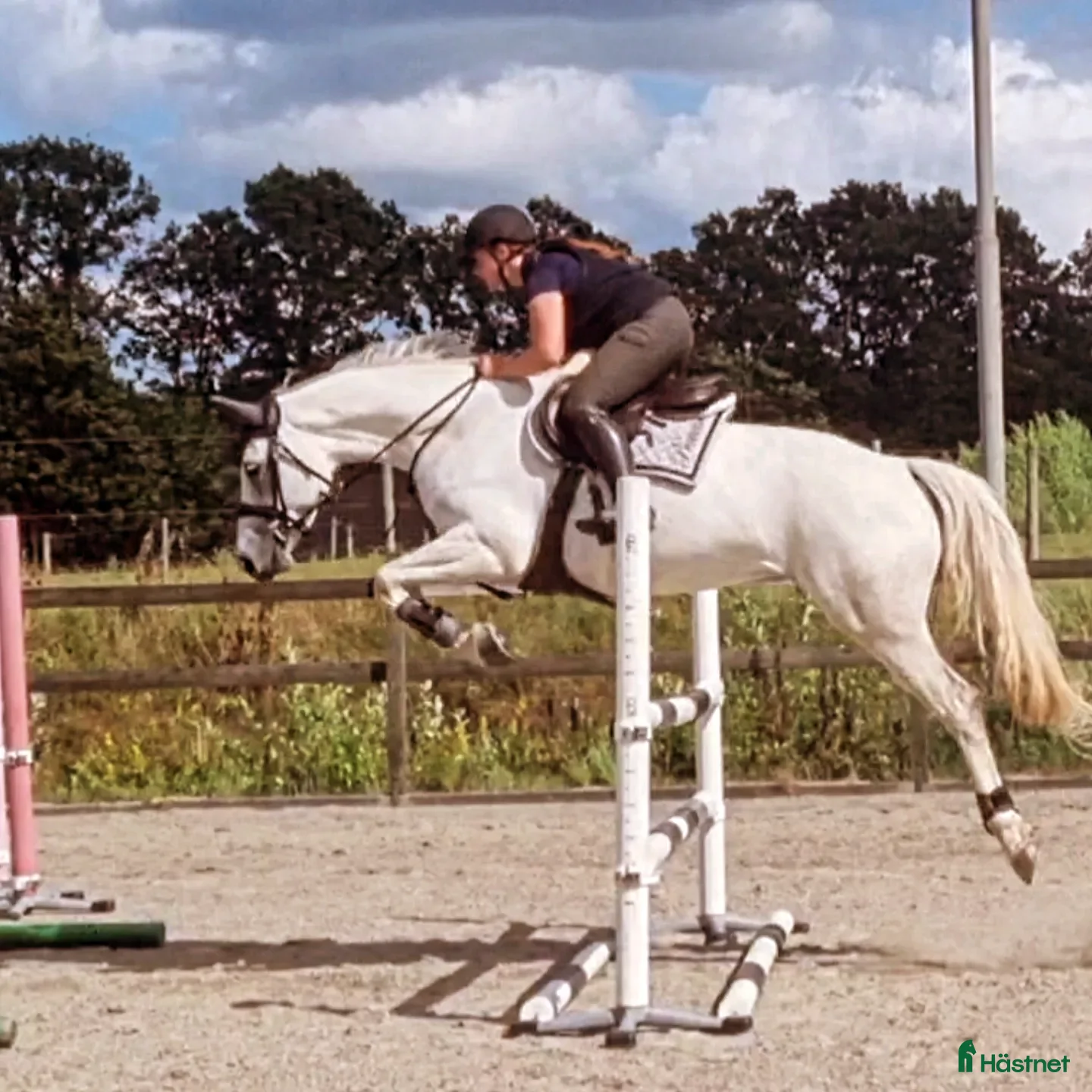  hästservice Plats finns hos mig - Annons 1