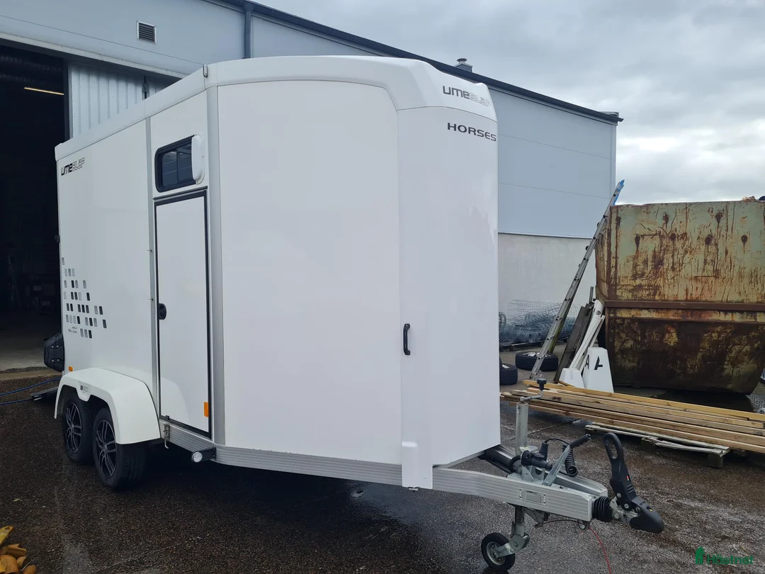 Hästtransporter  fordon & transport till salu: UME B60 - Årsmodell 2021 - Annons 2