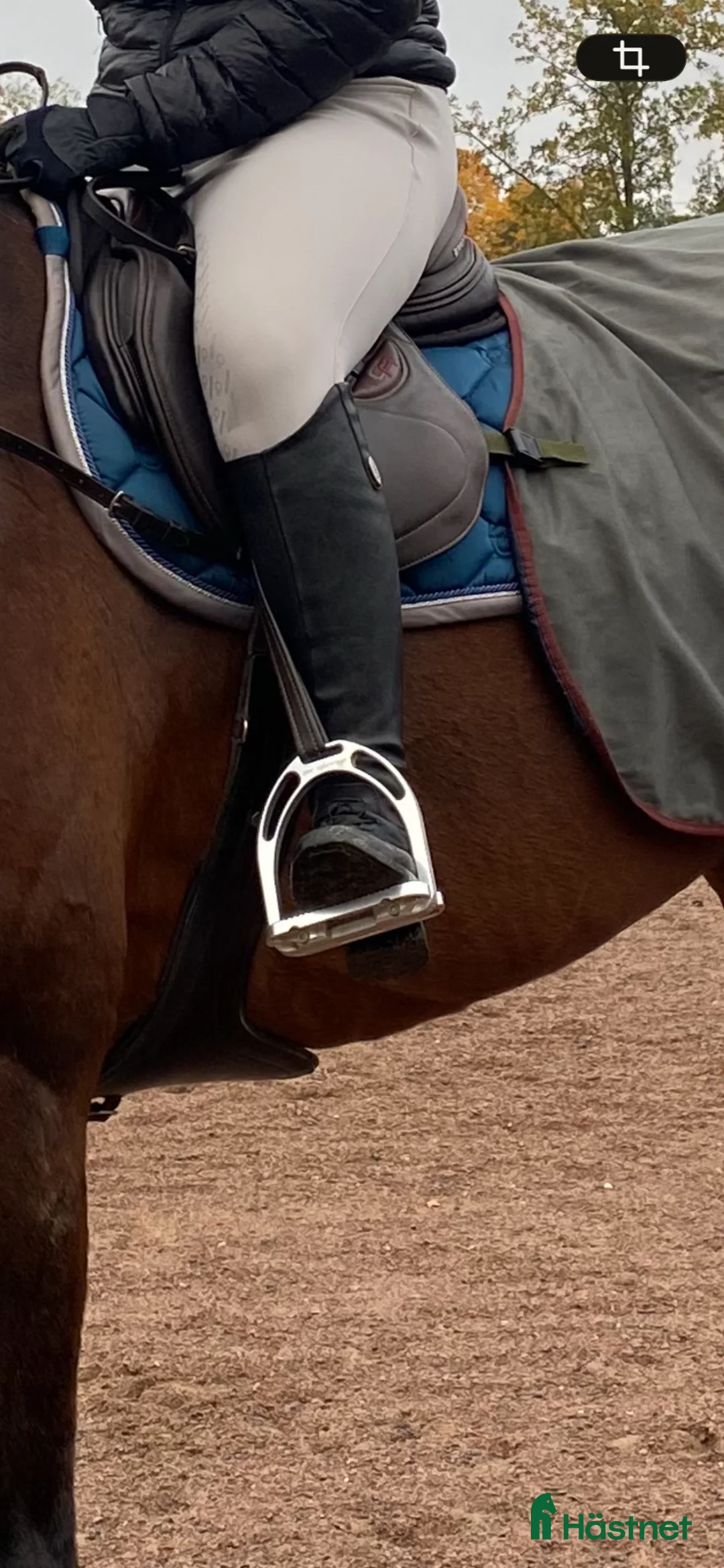 Stigbyglar hästutrustning till salu: Jin stigbyglar - Annons 2