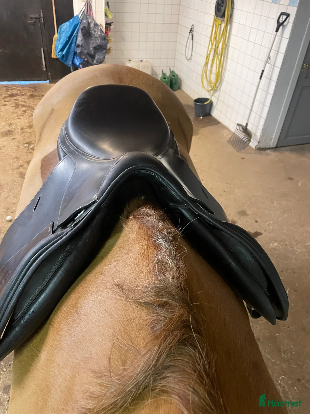 Sadlar hästutrustning till salu: Tattersal Hoppsadel i Vretstorp - Annons 3