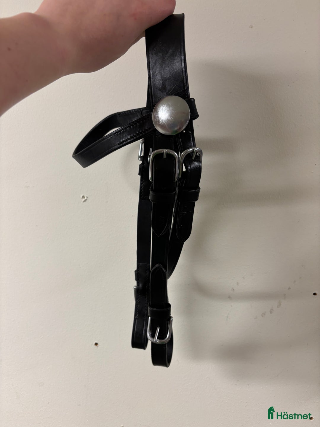 Körselar körning till salu: Loksele ponny i Njutånger - Annons 5