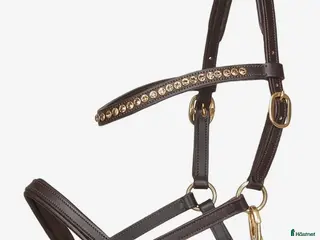 Övrig Hästutrustning hästutrustning Fölgrimma/visningsgrimma - Annons 1