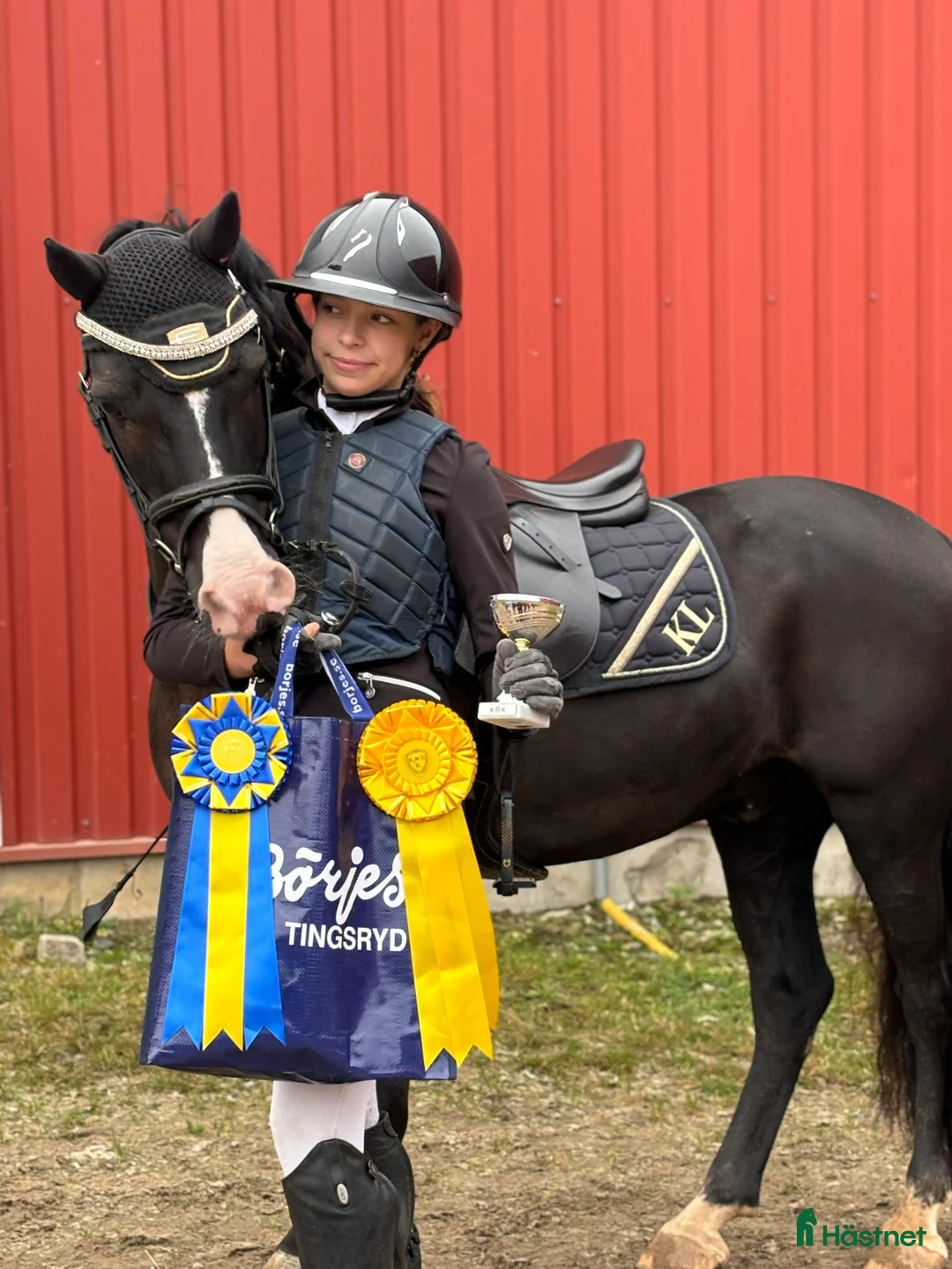 Hoppning hästar till salu: Maxad B-ponny! i Göteborg - Annons 3