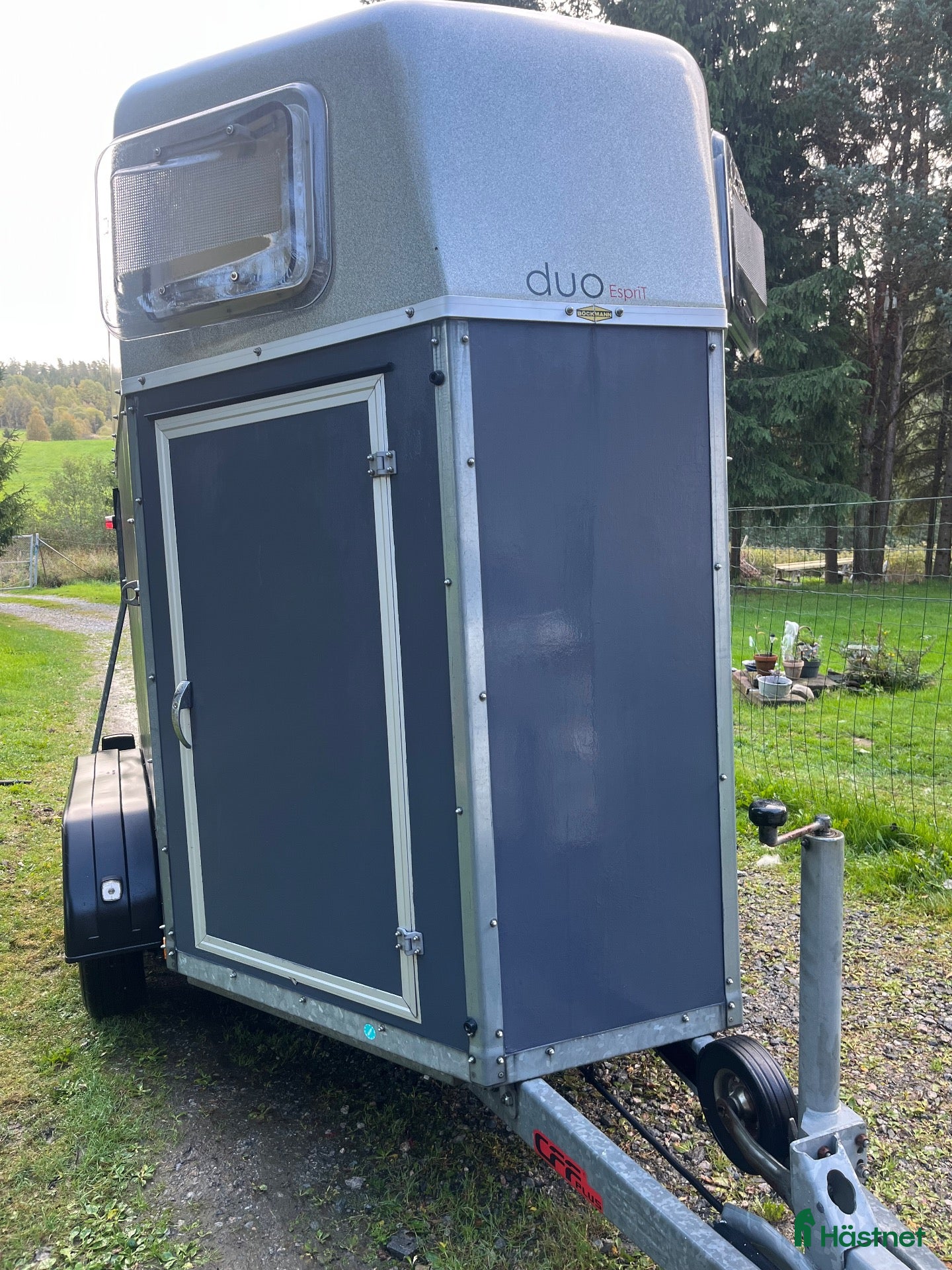 Hästtransporter  fordon & transport till salu: Böckmann Duo GP Esprit -11, aluminiumgolv - Annons 2