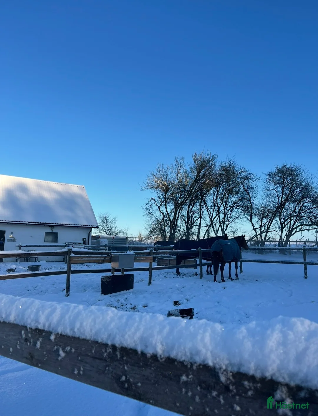  stallplats finnes: Stallplats utanför Lund i Lund - Annons 7