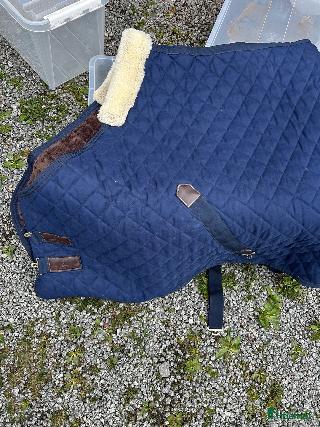 Benskydd hästutrustning till salu: Veredus Carbon gel Vento, Kentucky i Enköping - Annons 7