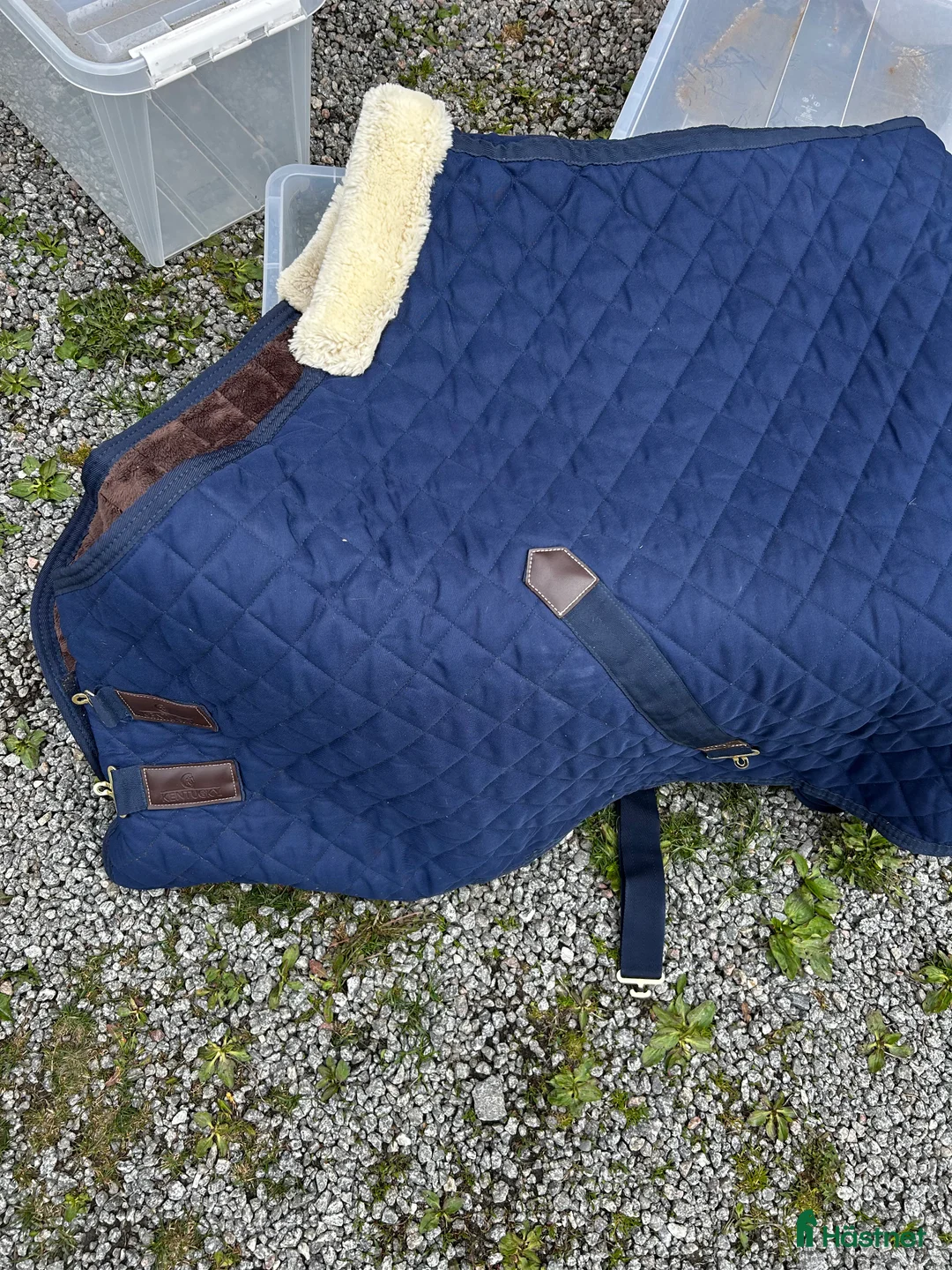 Benskydd hästutrustning till salu: Veredus Carbon gel Vento, Kentucky i Enköping - Annons 7