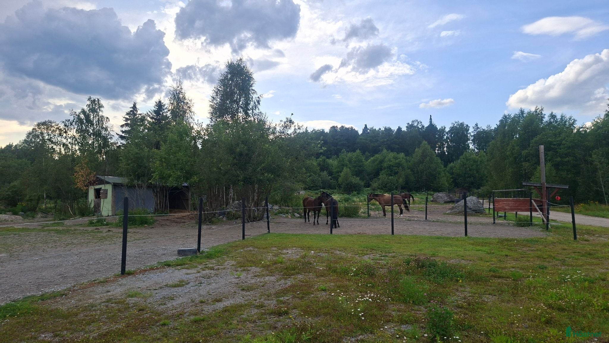 stallplats Lösdrift och stallplatser i Iggesund / Hudiksvall - Annons 7
