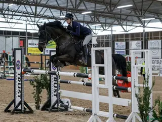 hästar 🌟Projekthäst🌟 - Annons 4