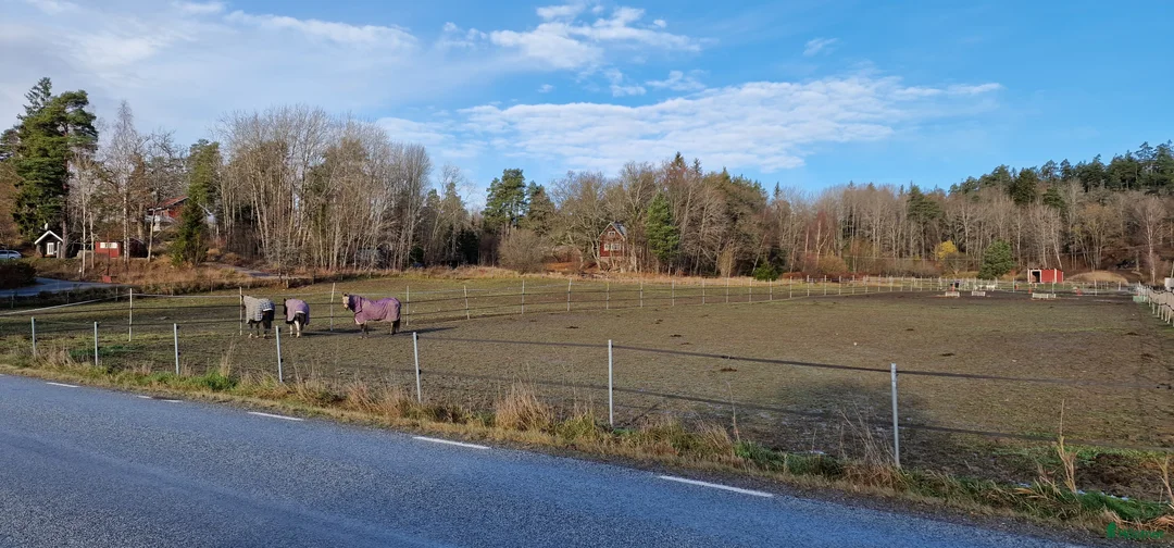  stallplats finnes: Ledig boxplats i Södertälje  - Annons 4