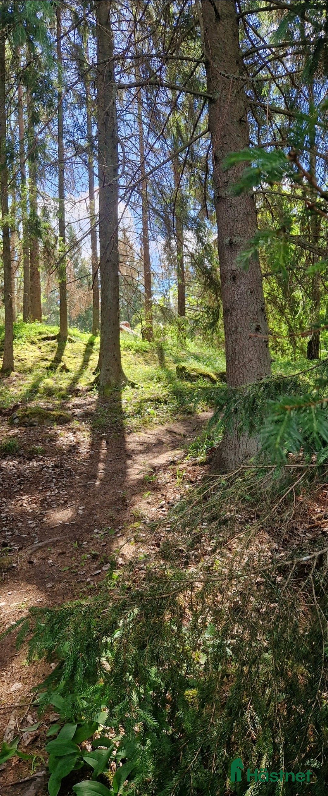  stallplats finnes: Stallplats Brottby  i Vallentuna - Annons 13