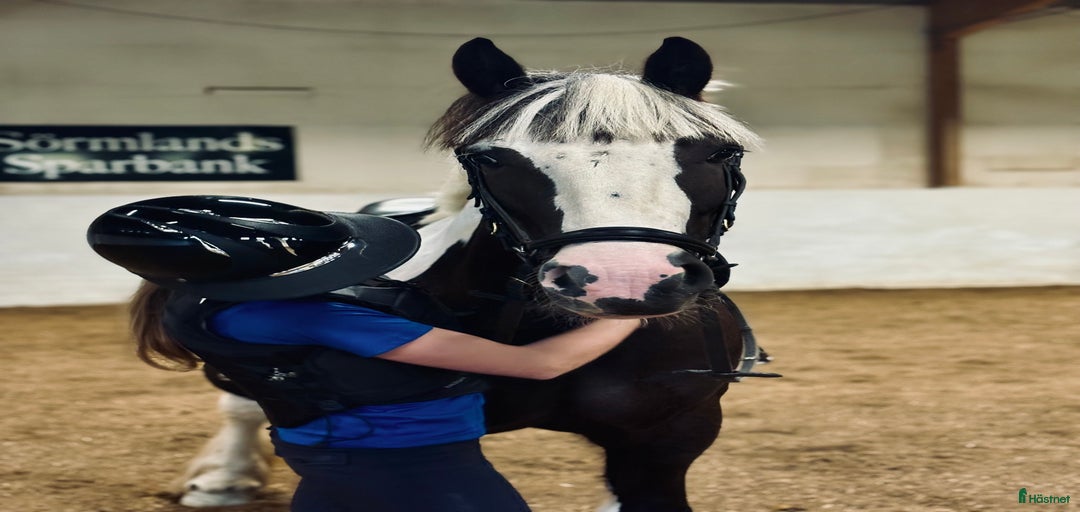 Galleribild {{count}}