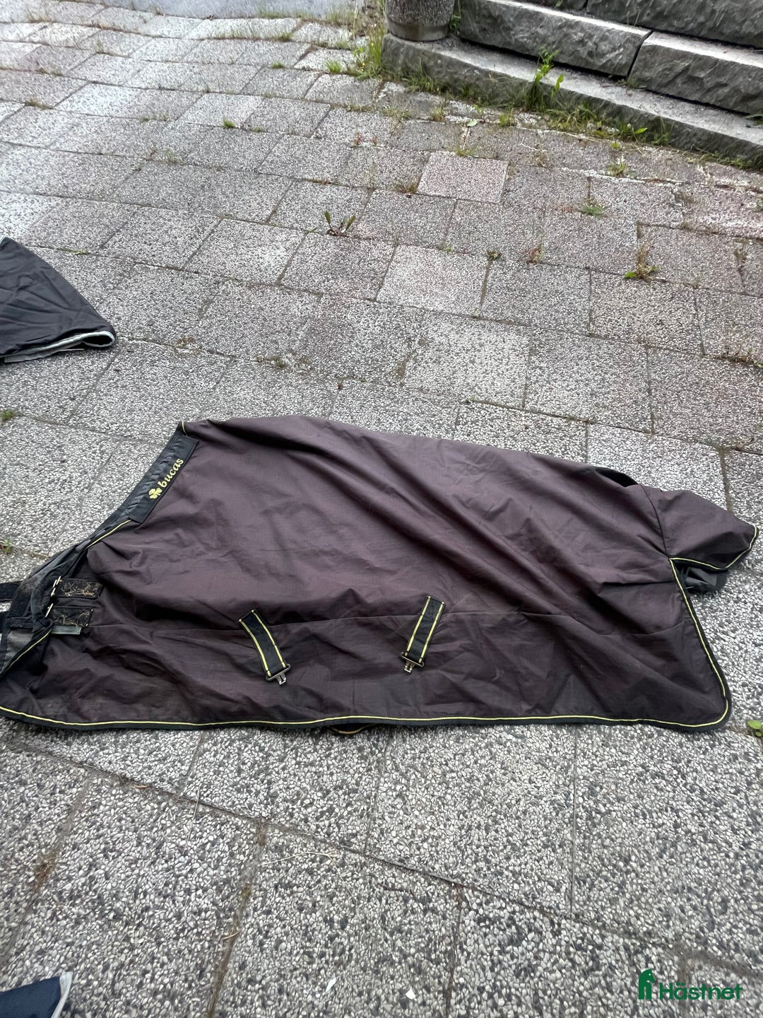 Täcken hästutrustning till salu: Olika täcken i Luleå - Annons 1