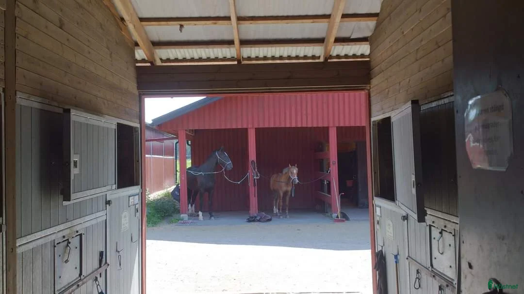  stallplats finnes: LÖSDRIFT  i Vallentuna - Annons 2