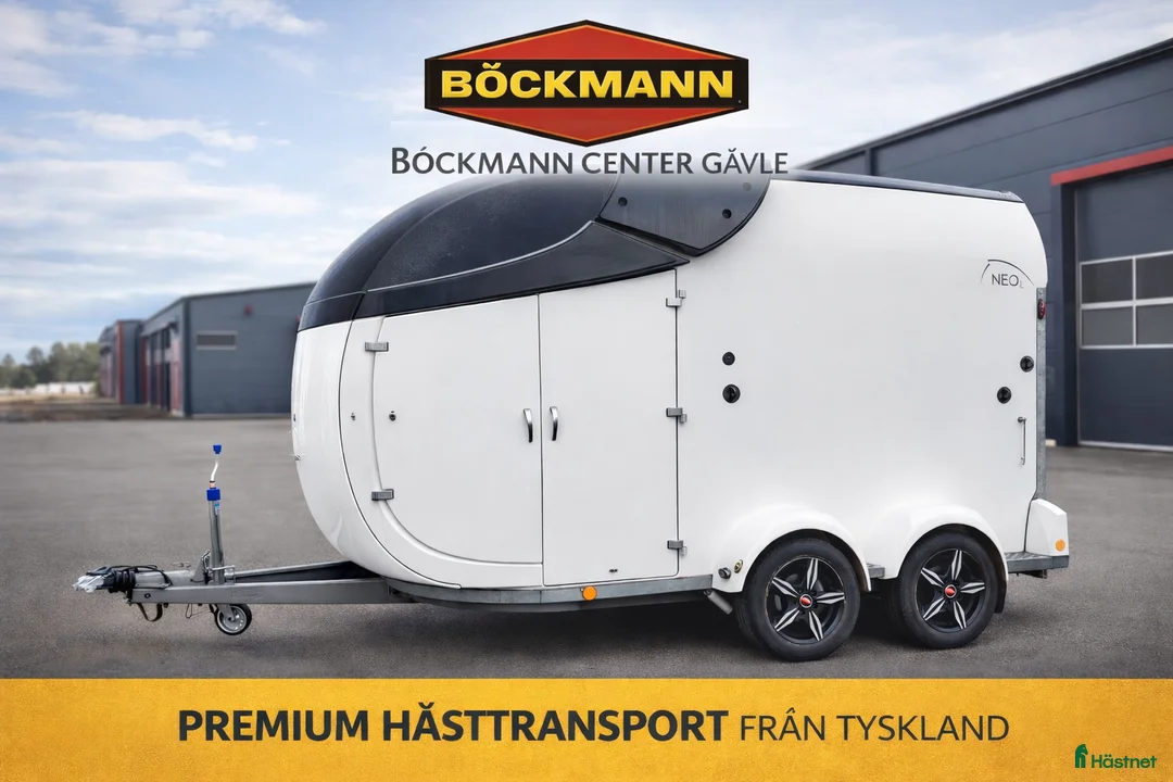 Hästtransporter  fordon & transport till salu: Böckmann Neo L SKA – stor modell-extrautrustad - Annons 1