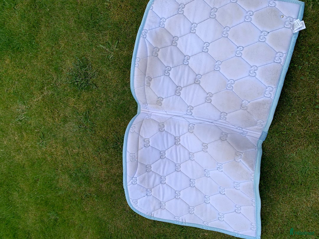 Schabrak & Vojlockar hästutrustning till salu: Dressyrschabrak från PS i Tenhult - Annons 3