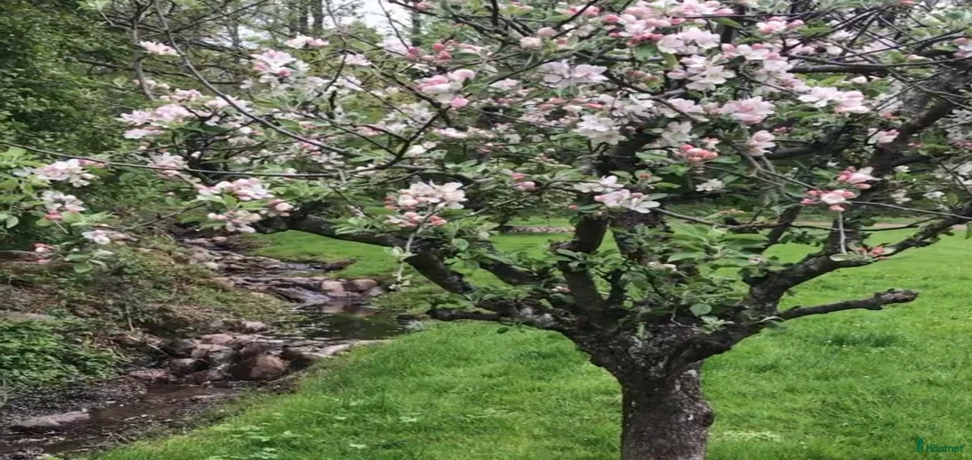 Galleribild {{count}}