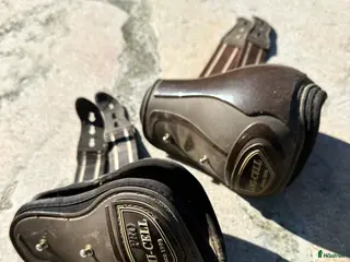 Benskydd hästutrustning Bakbenskydd - Annons 2