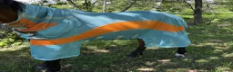 Täcken hästutrustning till salu: Amigo Evolution flugtäcke 140cm - Annons 1