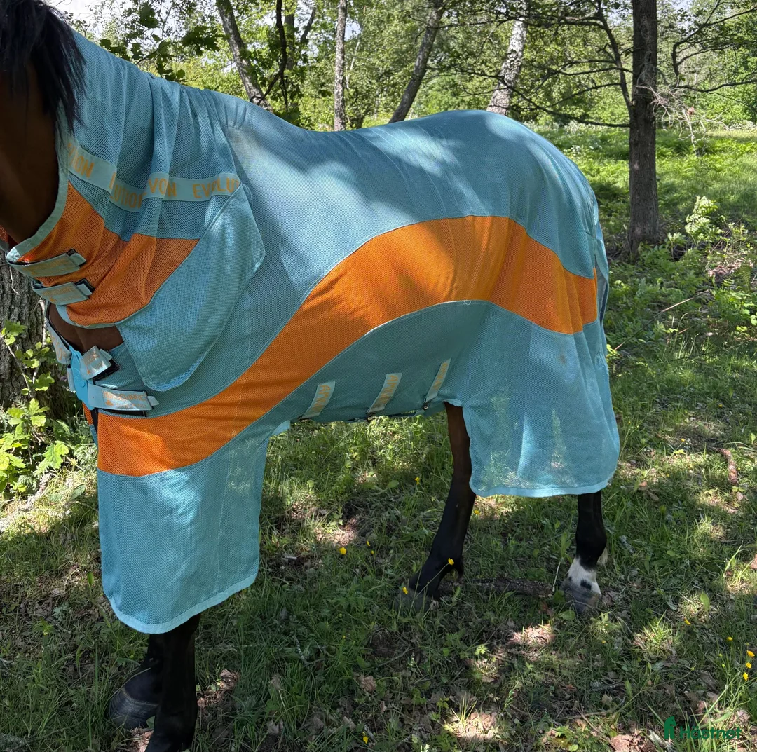 Täcken hästutrustning till salu: Amigo Evolution flugtäcke 140cm - Annons 1