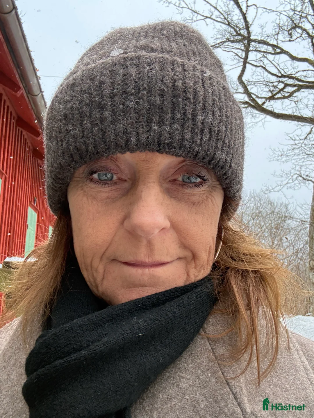 Galleribild {{count}}