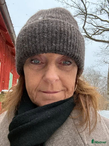 Galleribild {{count}}