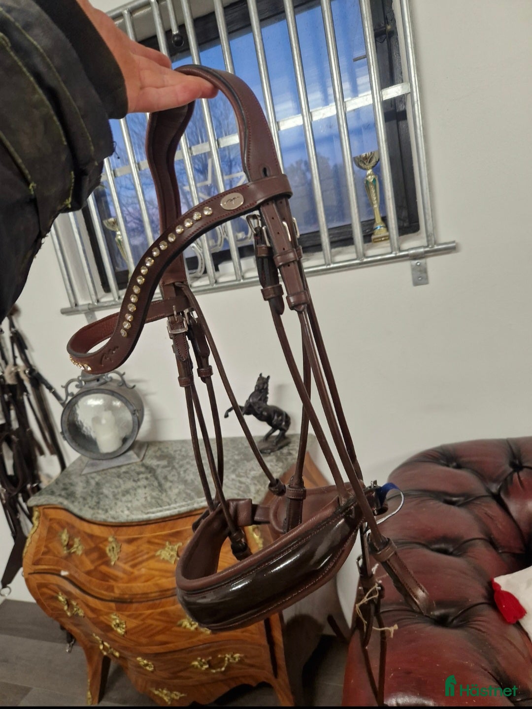 Träns hästutrustning till salu: Helt ny dyon kandar träns i Vassmolösa - Annons 1