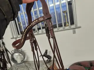 Träns hästutrustning Helt ny dyon kandar träns i Vassmolösa - Annons 3