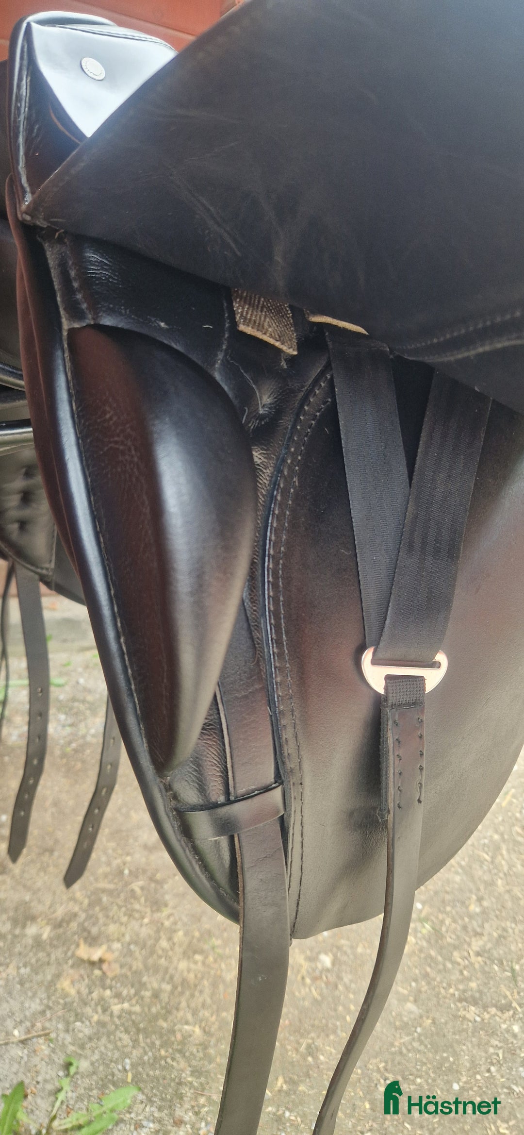 Sadlar hästutrustning till salu: Passier ABS i Svartsjö - Annons 11