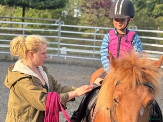 hästjobb Ridlektioner / Inridning / Tillridning i Västra Frölunda - Annons 8