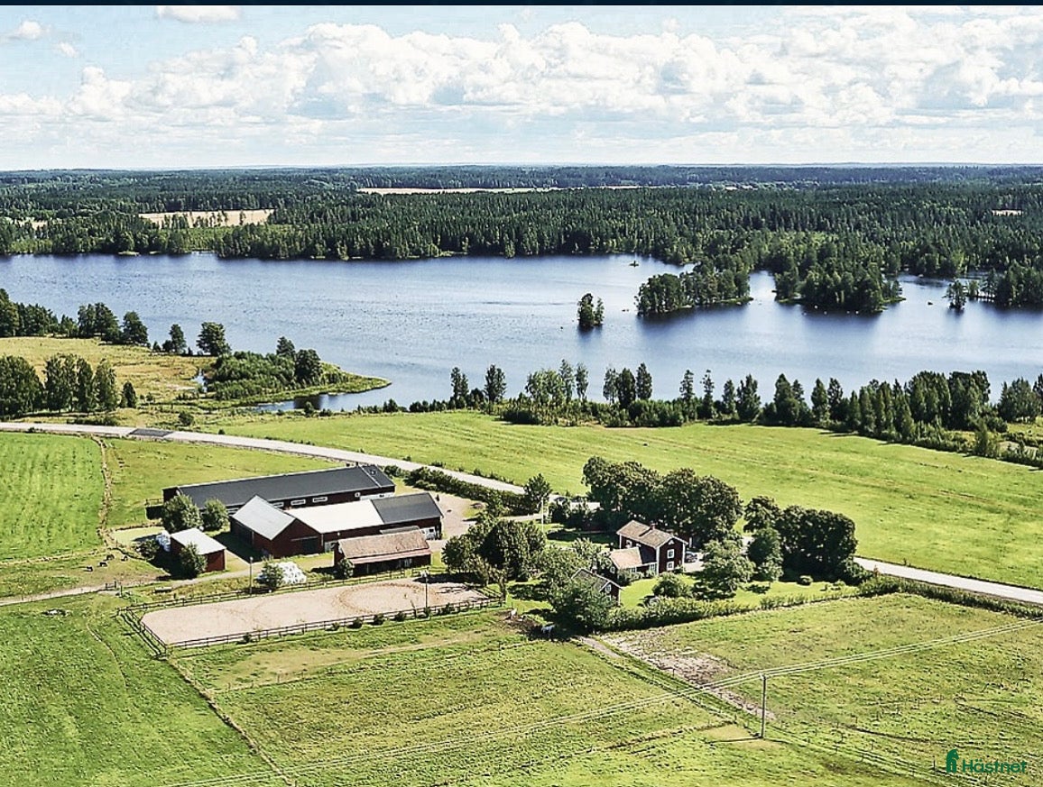  stallplats Naturnära plats med ridhus!  i Åtorp - Annons 18